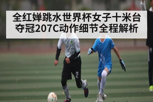 全红婵跳水世界杯女子十米台夺冠207C动作细节全程解析 - kaiyun